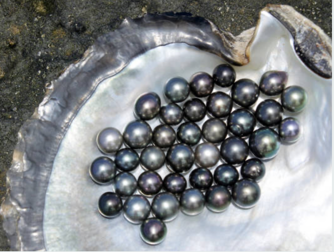 La perle de Tahiti :  un joyau unique du Pacifique