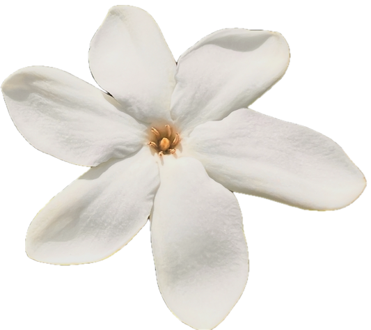 La box trimestrielle de septembre : le Tiare Tahiti