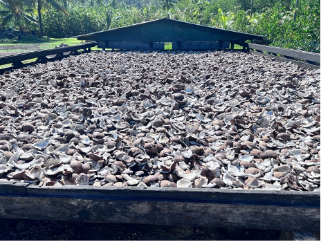 La box trimestrielle de juin consacrée au seul vrai Monoï de Tahiti