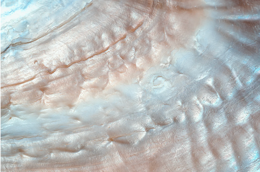 Le travail de la Nacre en Polynésie française