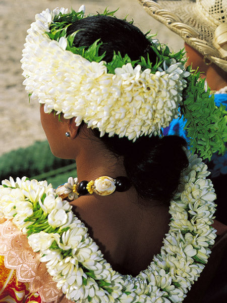 Le Tiare Tahiti, la fleur emblématique de la Polynésie Française
